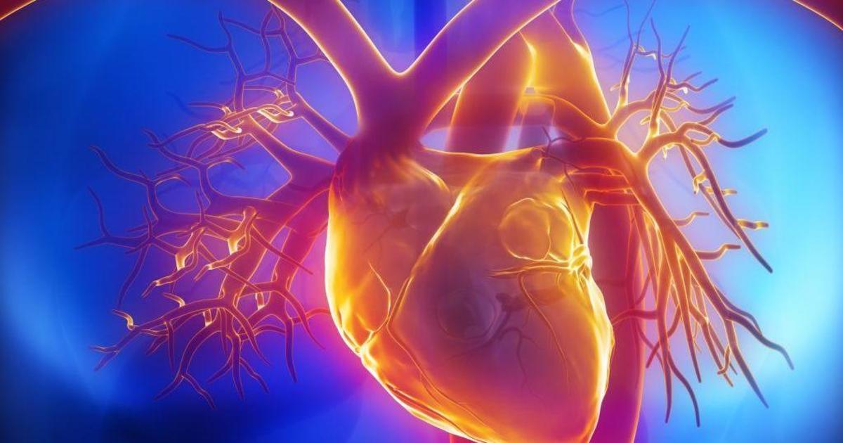 Живи сердцем: Philips запустил онлайн-тест для проверки сердца.