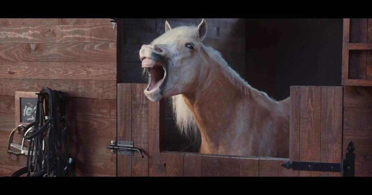 Лошади попадали от смеха в рекламе Volkswagen.