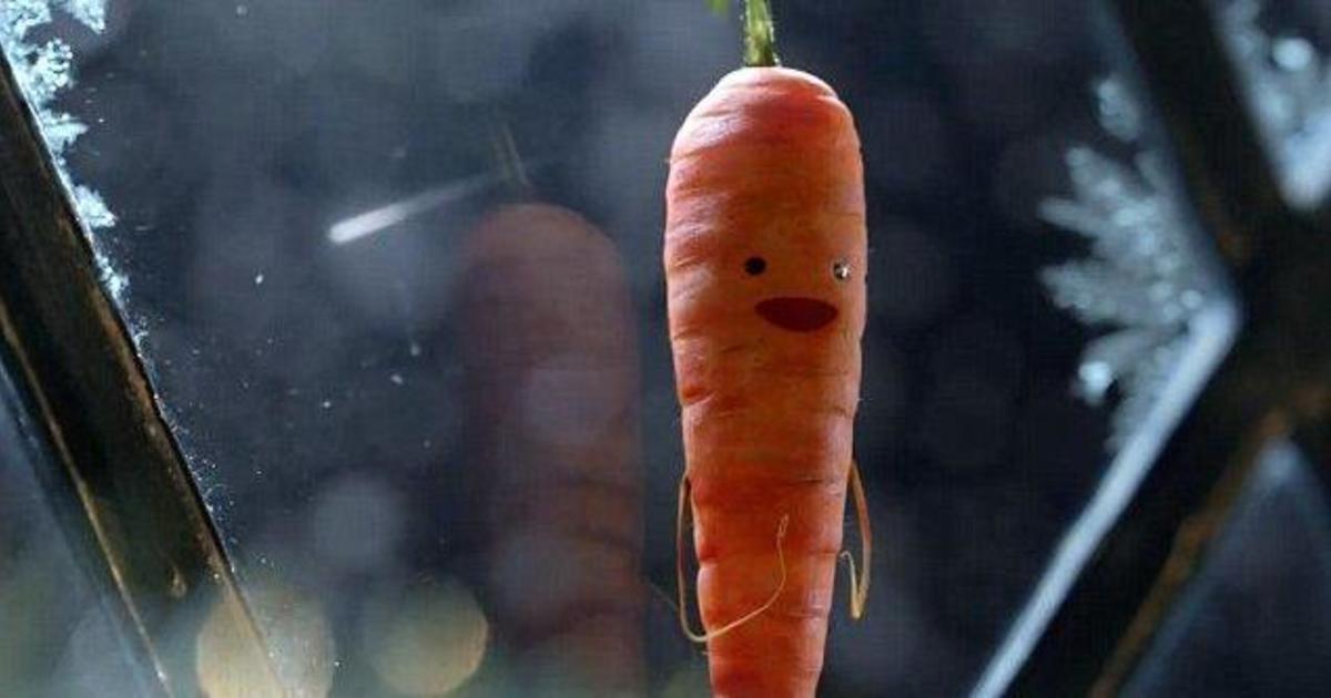 Aldi посвятили рождественский ролик морковке.