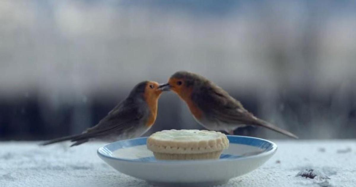 Сеть супермаркетов выпустила рождественский ролик о любимой птице британцев