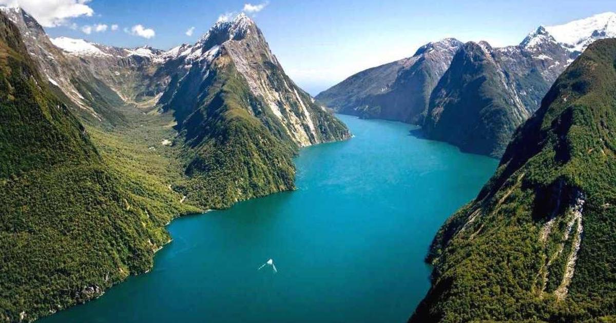 Новая Зеландия привлекает лучший талант, оплачивая поездку в страну.