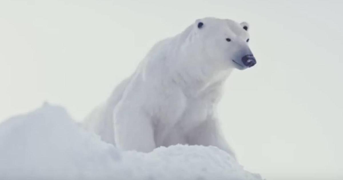 Greenpeace бросила вызов гравитации в борьбе с глобальным потеплением.