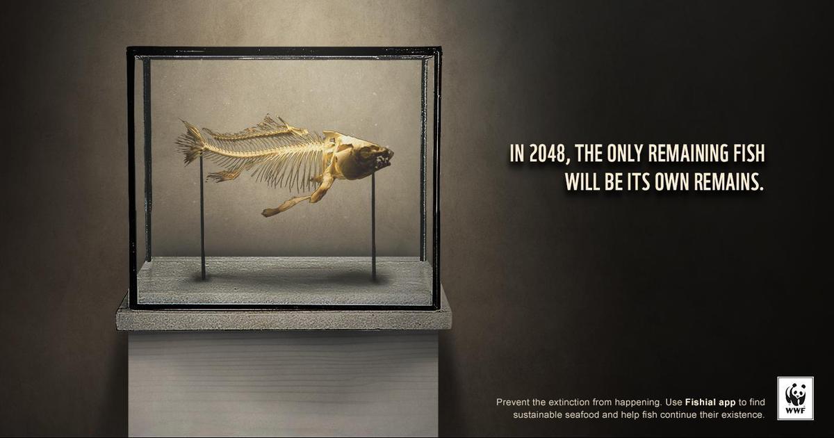 Рыба превратилась в музейный экспонат в рекламе WWF.