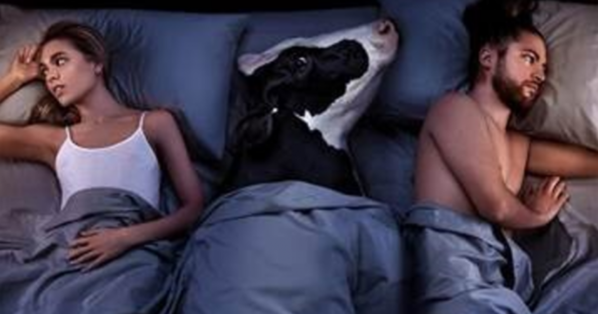 Реклама Peta предупредила, что мясо плохо влияет на сексуальную жизнь.