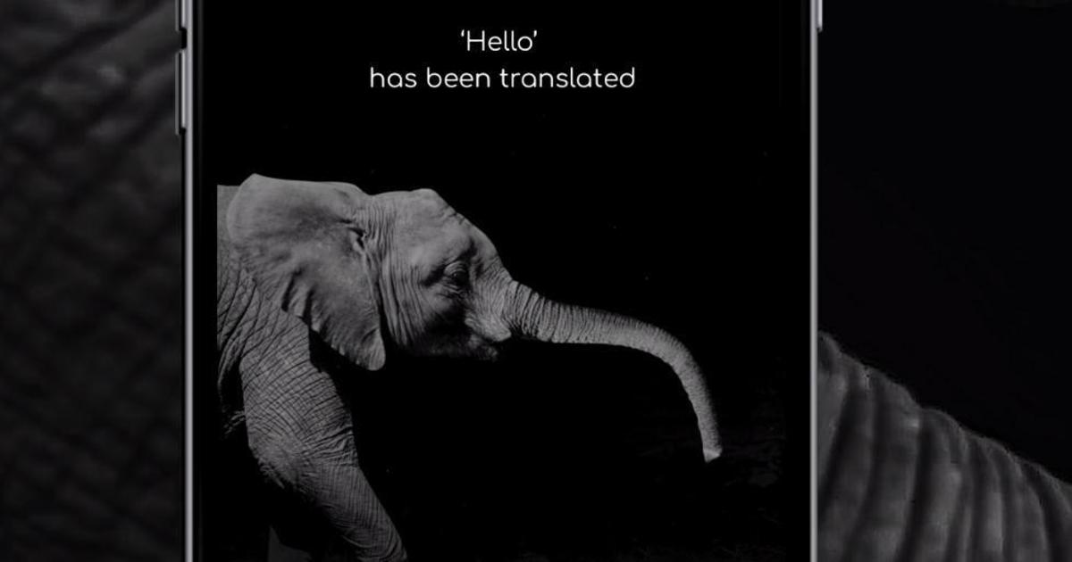 Создан первый в мире переводчик с и на язык слонов.