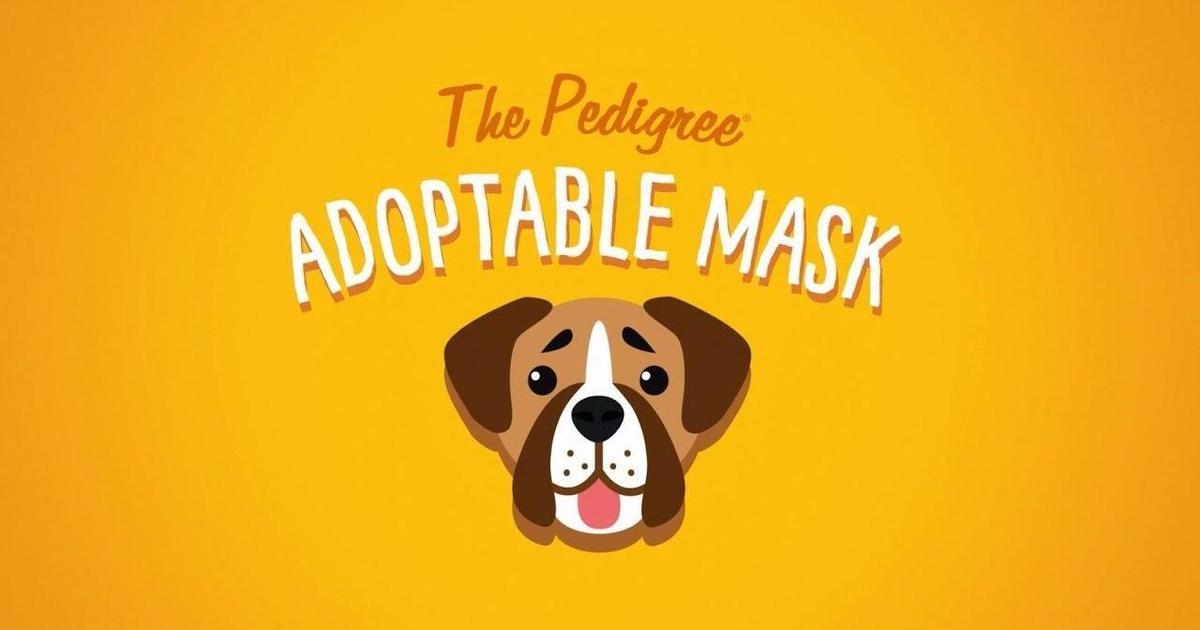 Pedigree создала селфи-маски, позволяющие приютить собаку.