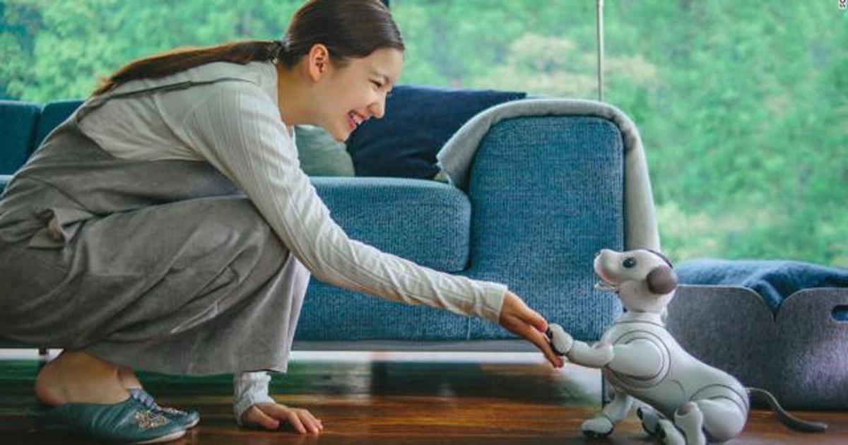 Прощай, Alexa: Sony превратила робота-собаку в AI-помощника.