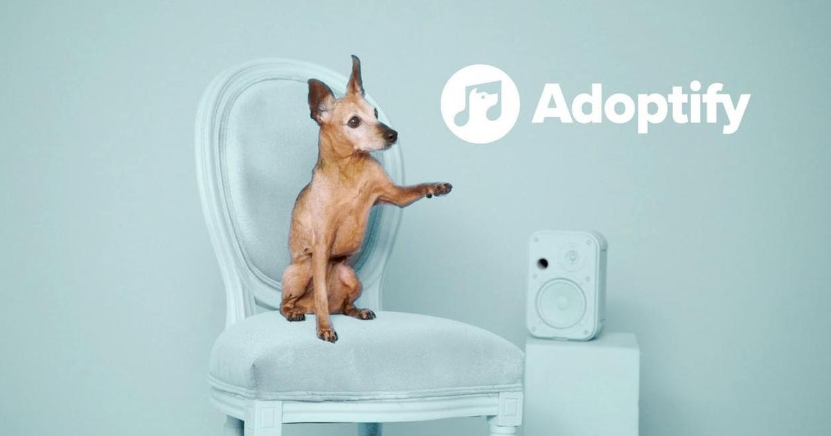 Spotify помогает собакам обрести дом, определяя их музыкальные вкусы.