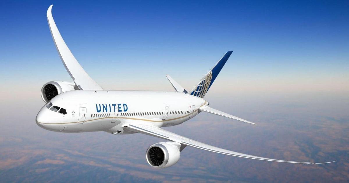 Репутация United Airlines вновь пострадала, на этот раз из-за смерти собаки
