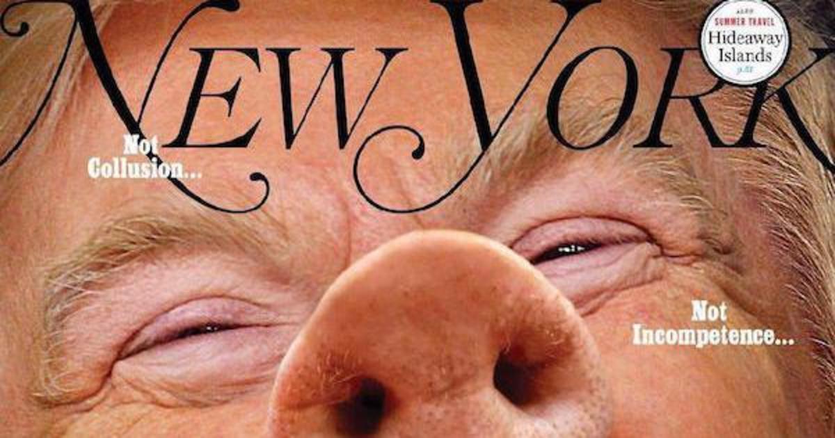 Трампа превратили в поросенка на обложке The New York Magazine.
