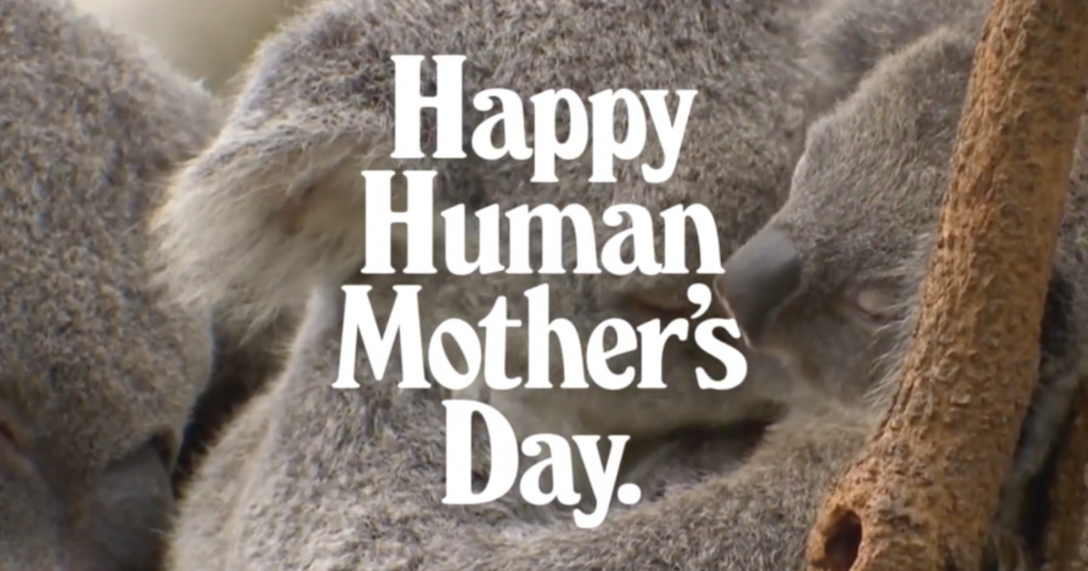 Кампания от Mother New York поздравляет с Днем матери человеческих матерей.