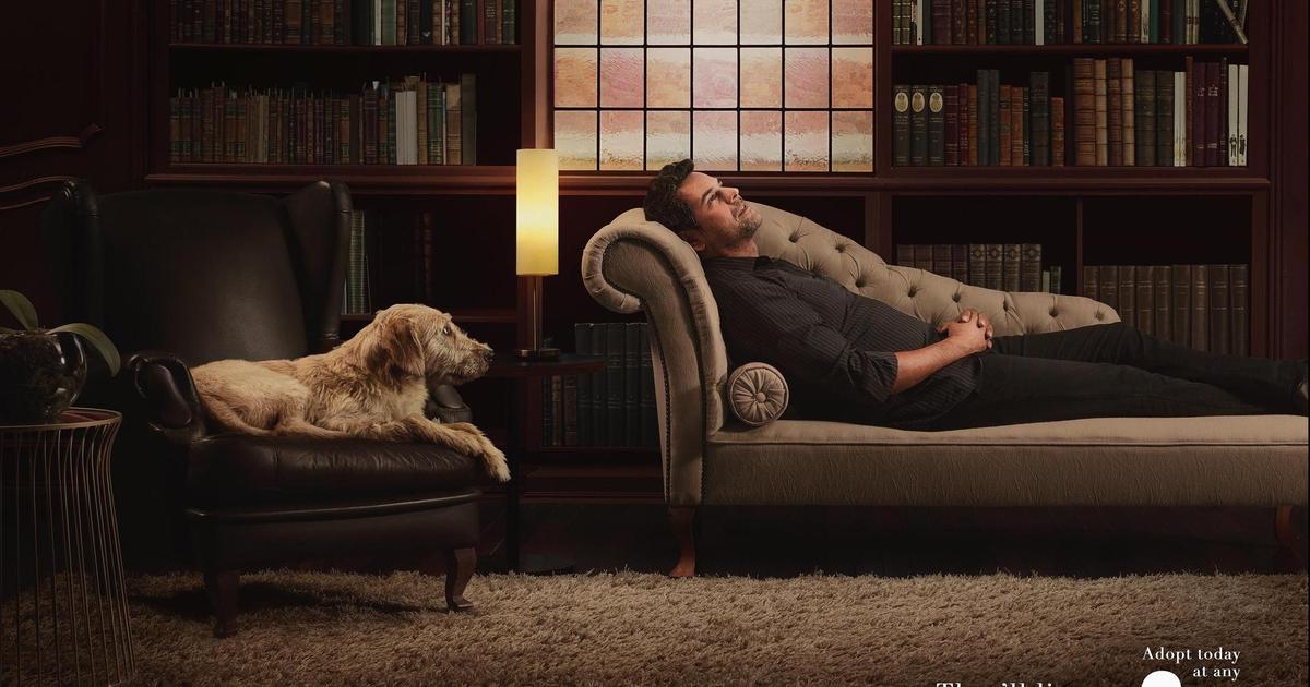 Собаки стали психологами в рекламной кампании для Petz.