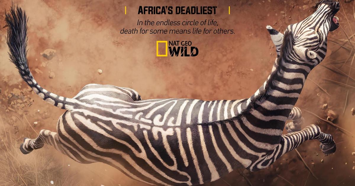 Принты для National Geographic показали нескончаемый круг жизни и смерти.