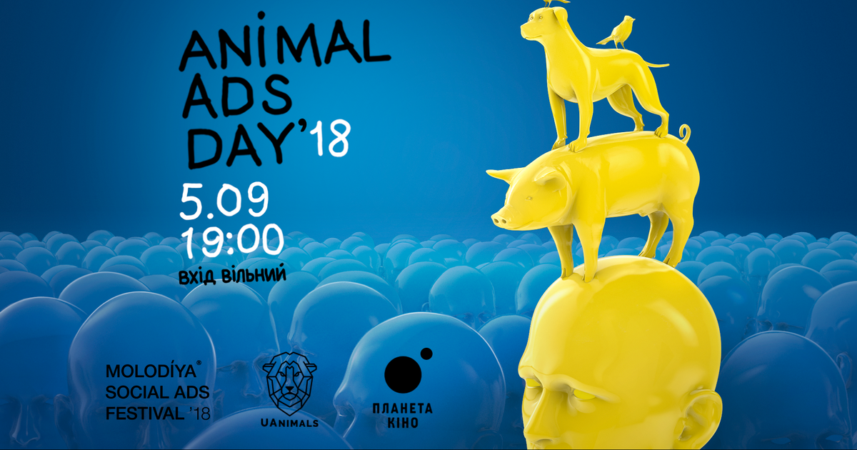 В Киеве покажут мировую социальную рекламу о животных.