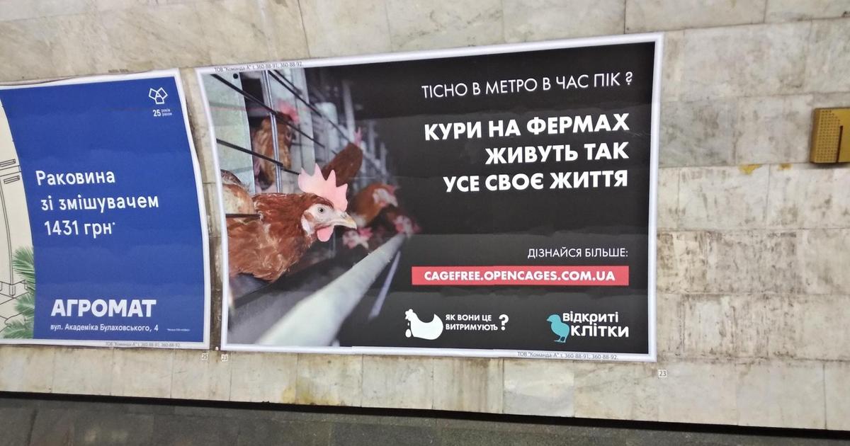 В киевском метро появилась креативная реклама от зоозащитной организации.