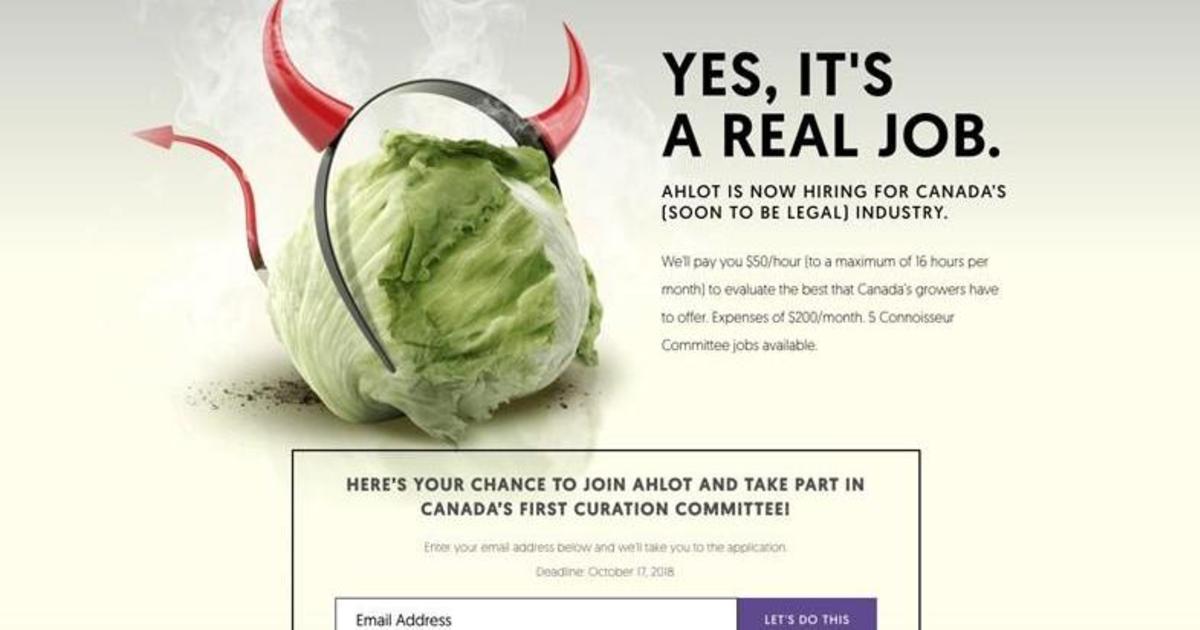 Работа мечты: канадская компания заплатит $50 в час за курение марихуаны.