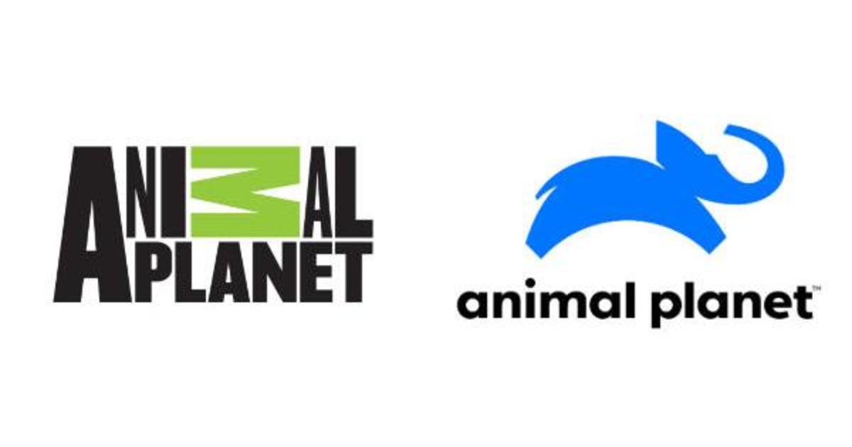 Animal Planet представил новую айдентику.