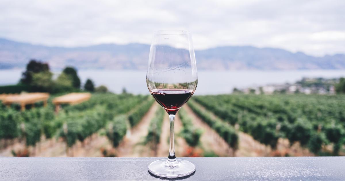 Винзавод показал, как вино сочетается с нытьем.