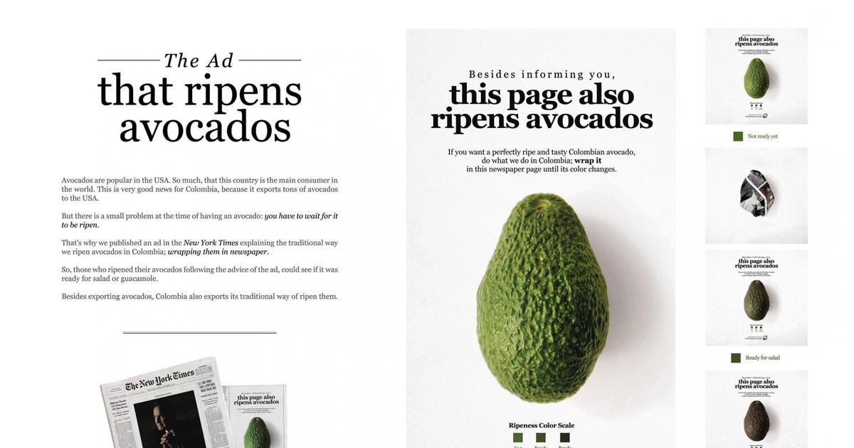 New York Times предлагает обернуть авокадо в их газету