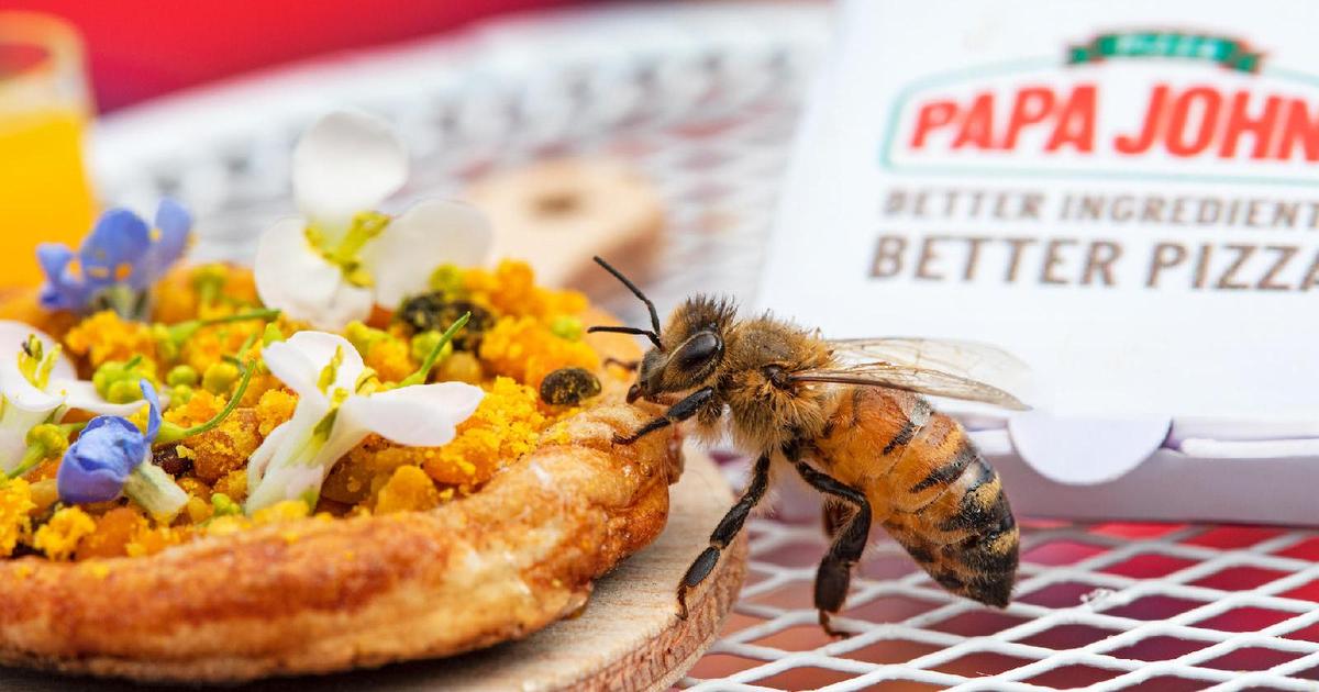 Сеть пиццерий Papa John’s создала крошечную пиццу для пчел