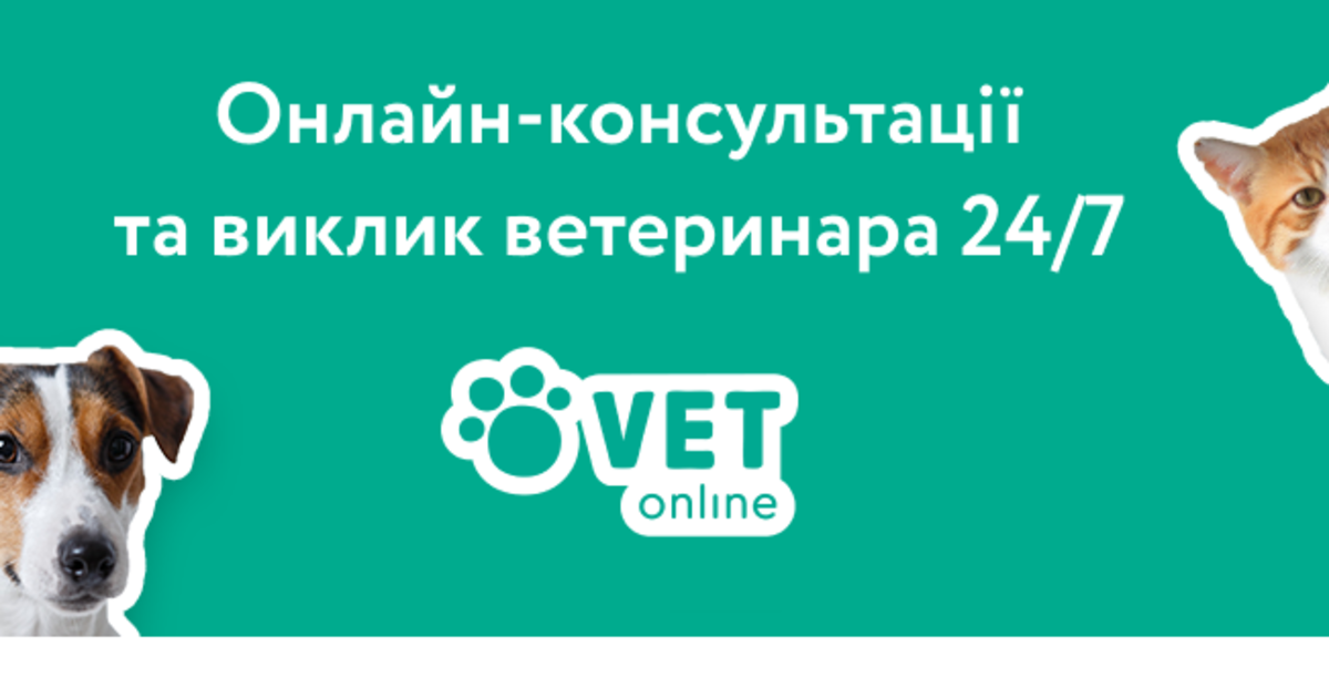 Українці запустили cервіс онлайн-консультацій та виклику ветеринара 24/7