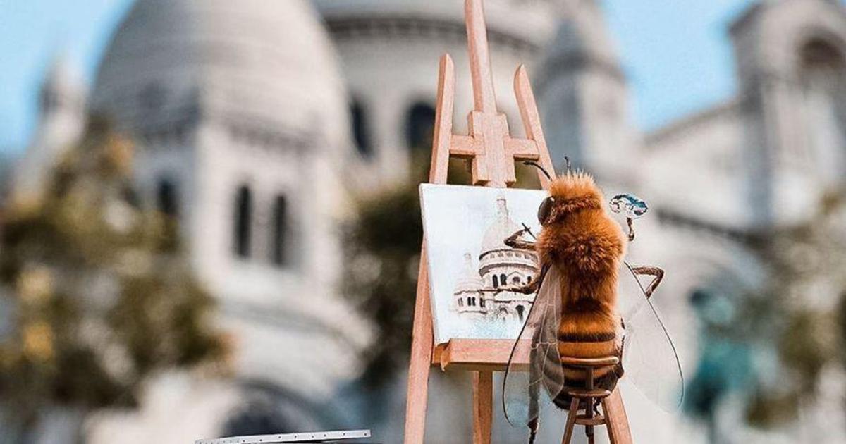 Первая пчела-инфлюенсер собирает средства для спасения пчел