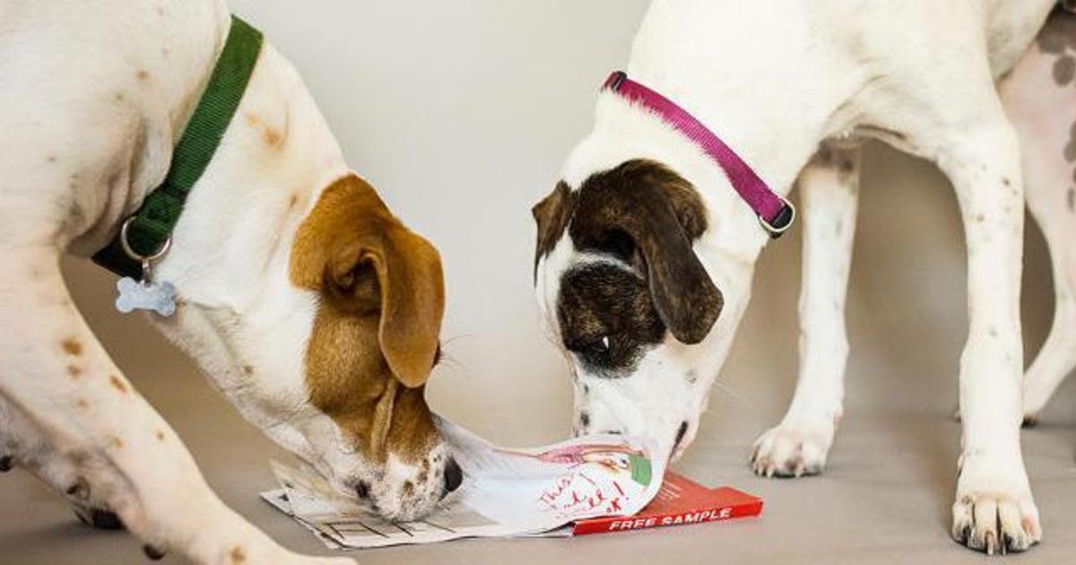 Производитель еды для собак выпустил scratch&#8217;n&#8217;snif книгу для питомцев.