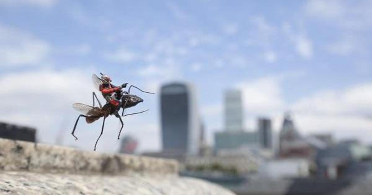 Marvel порадовал фанатов «Человек-муравья» мини-сценами из фильма.