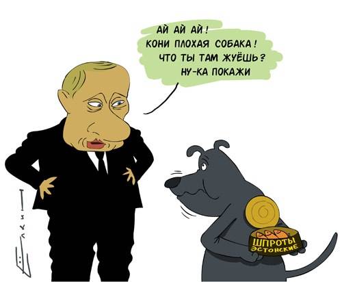 Реакция россиян на новый указ Путина о запрете на ввоз еды