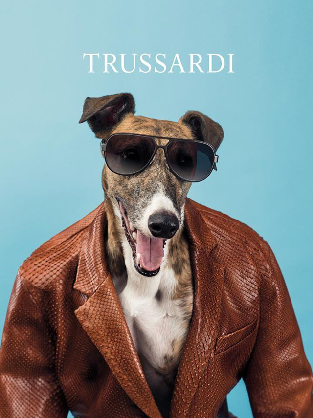 Главными героями новой рекламной кампании Trussardi стали борзые собаки