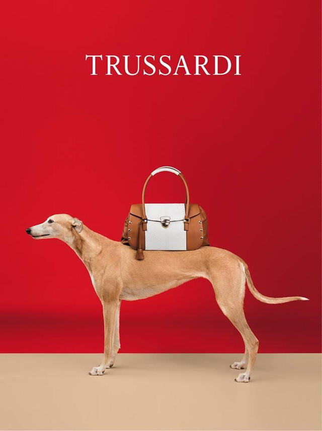 Главными героями новой рекламной кампании Trussardi стали борзые собаки