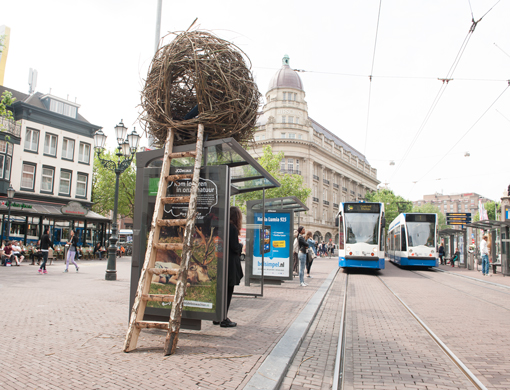 Государственное управление лесного хозяйства Голландии Staatsbosbeheer на один день свило настоящее гнездо на крыше автобусной остановки в центре Амстердама