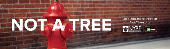 Рекламное агентство Tierney реализовало новую кампанию для организации New York Restoration Project.