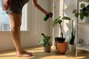 Новый ролик IKEA создали из домашних видео сотрудников TBWA