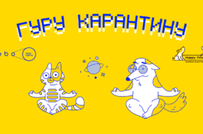 Как благотворительный фонд Happy Paw стал гуру карантина