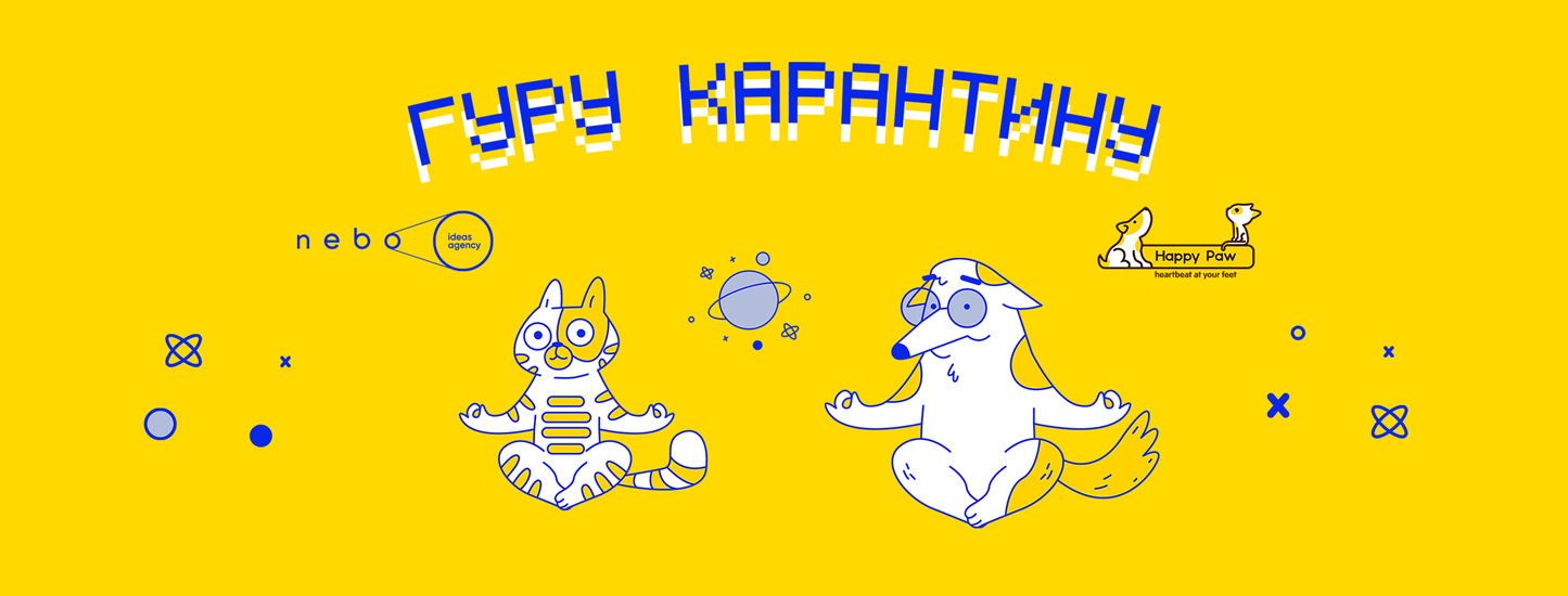 Как благотворительный фонд Happy Paw стал гуру карантина