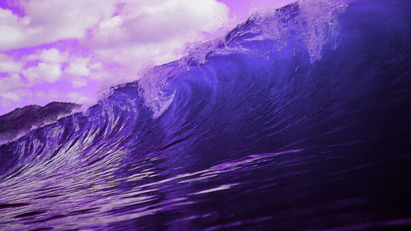 cover_wave