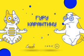 Кейс Happy Paw: как увеличить посещение сайта на 200% во время карантина