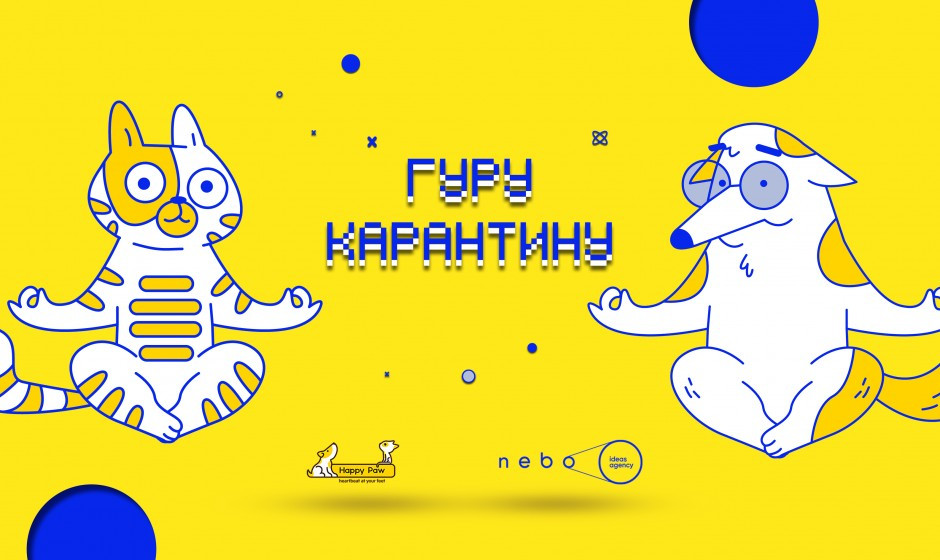 Кейс Happy Paw: как увеличить посещение сайта на 200% во время карантина