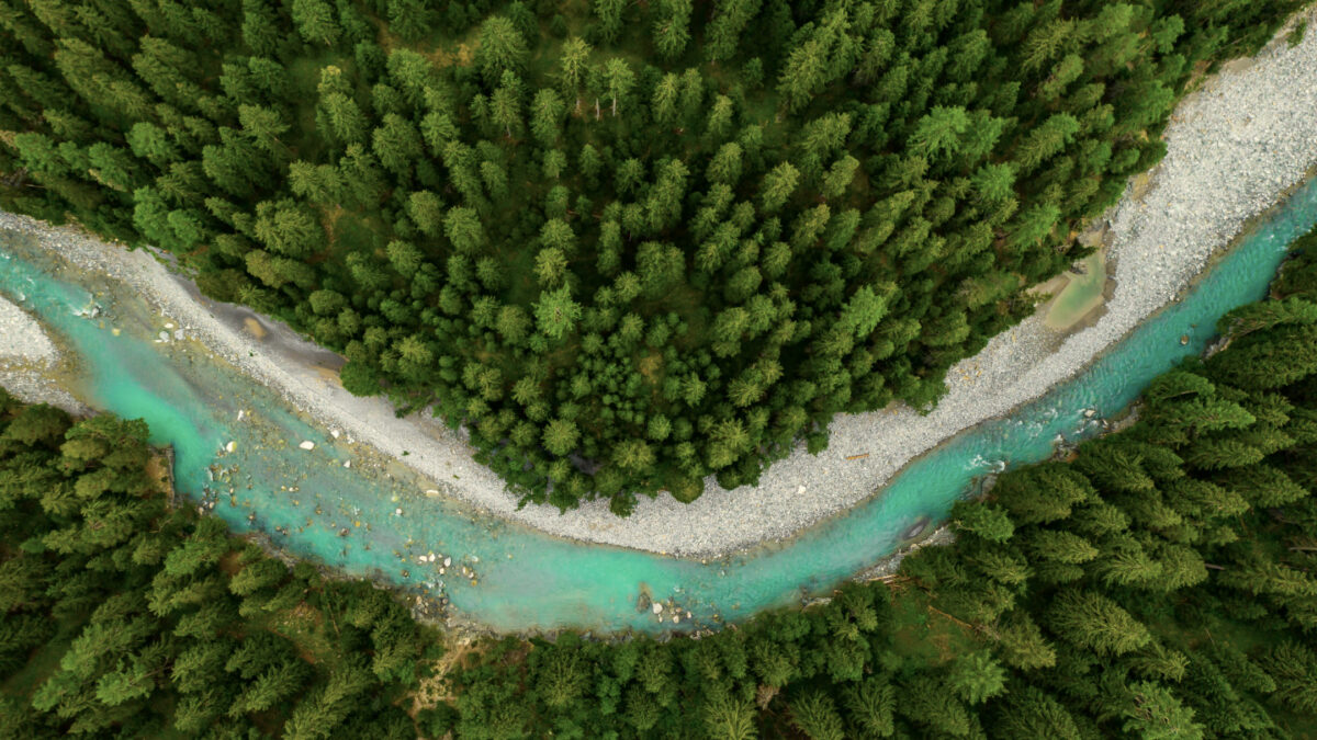 150 млн евро на мировое сообщество: sustainable проекты L’Oréal