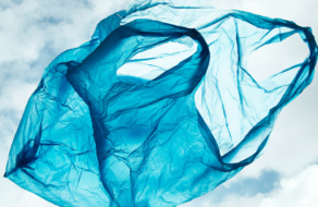 Walmart, Target и CVS пытаются найти замену пластиковым пакетам