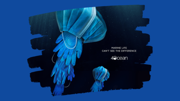 marine life cover