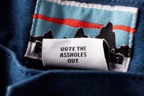 Patagonia выпустила шорты с биркой Vote the assholes out