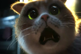 Mars Temptations выпустил фильм ужасов для котов