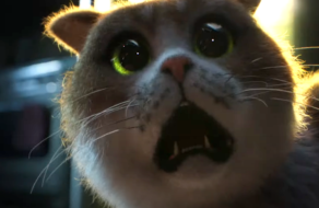 Mars Temptations выпустил фильм ужасов для котов