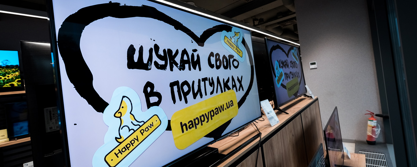 MOYO поддержали социальный проект фонда Happy Paw и призывают «искать своего в приютах»