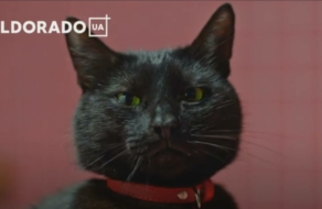 Eldorado запустил серию роликов с животными