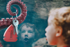 Осьминог и краб предлагают забрать ключи от жилья в рекламе ЖК