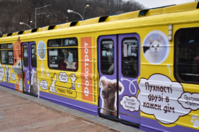 В київському метро курсує вагон з зображенням котиків і собачок з притулків