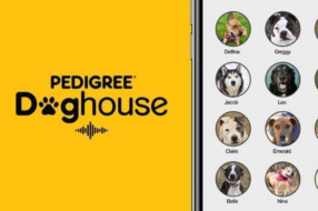 Pedigree использовал Clubhouse, чтобы найти питомцам дом